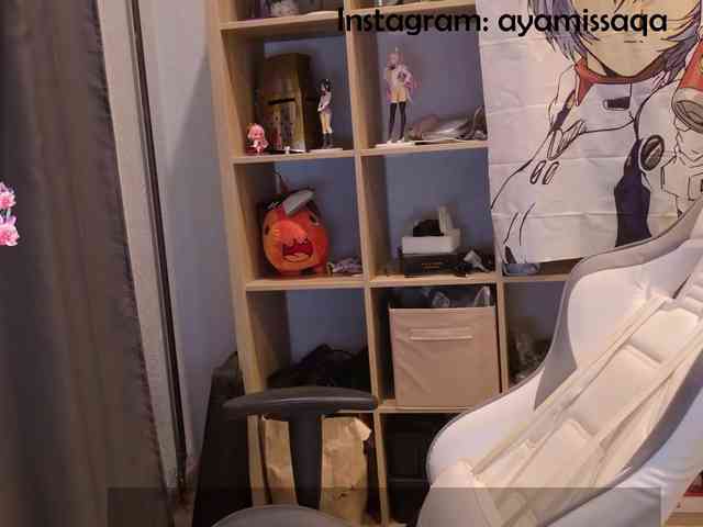 Miskariskoskashena webcam