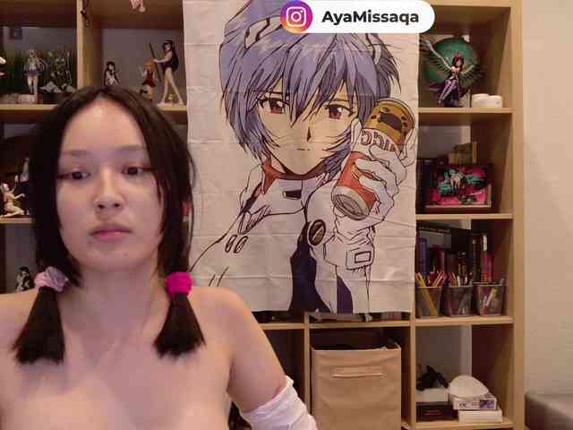 Miskariskoskashena webcam
