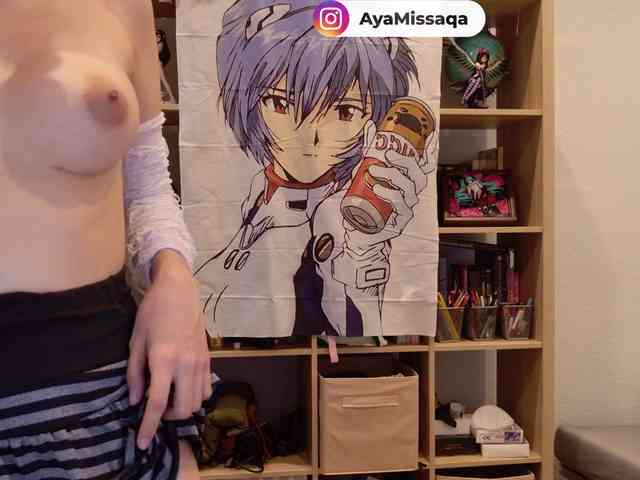 Miskariskoskashena webcam