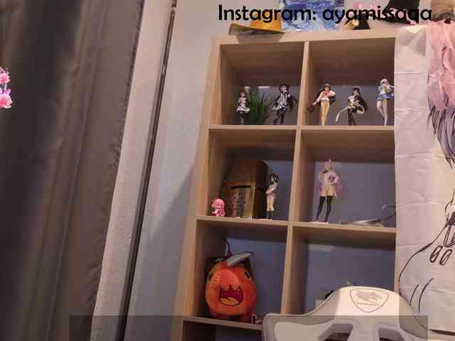 Miskariskoskashena webcam