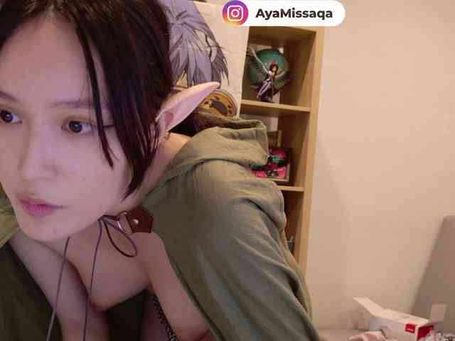 Miskariskoskashena webcam