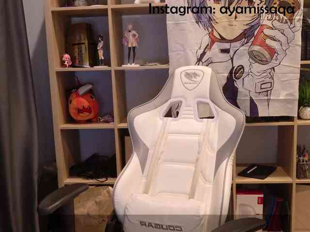 Miskariskoskashena webcam