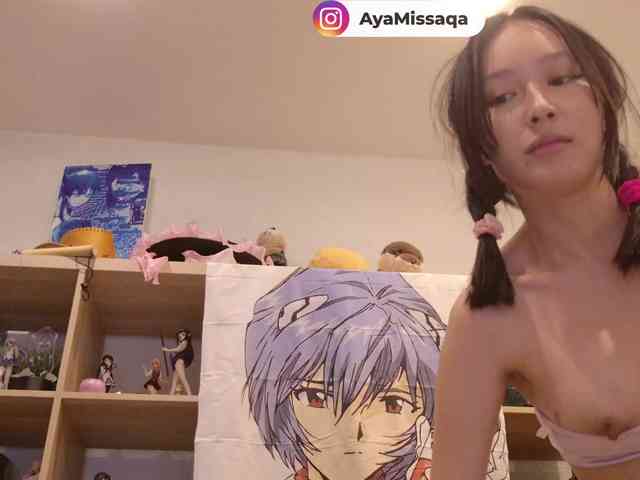 Miskariskoskashena webcam