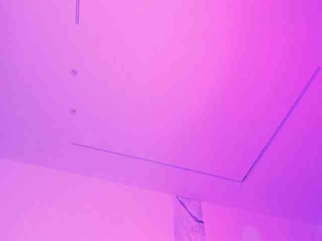 Modella: alysson_18