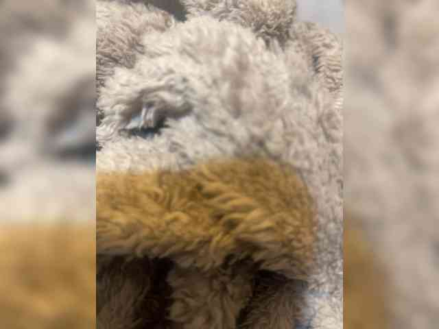 NATALIYA-ok webcam