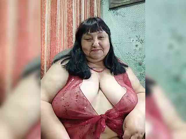 Nezsbudka webcam