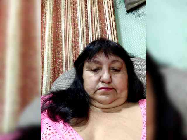 Nezsbudka webcam