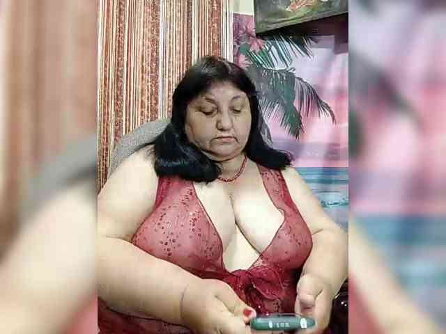 Nezsbudka webcam
