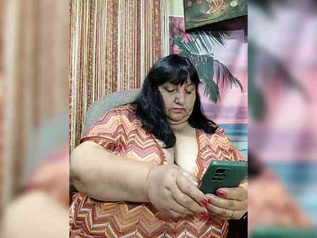 Nezsbudka webcam