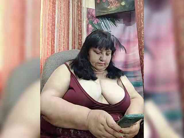 Nezsbudka webcam