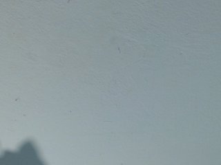 squirtbbw