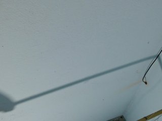 squirtbbw