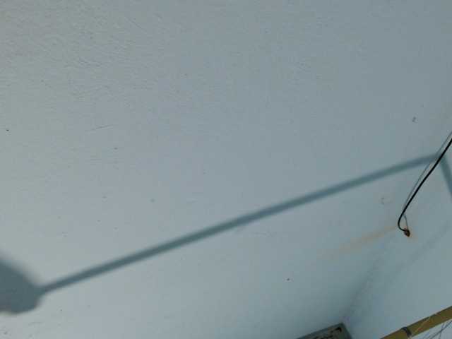 squirtbbw