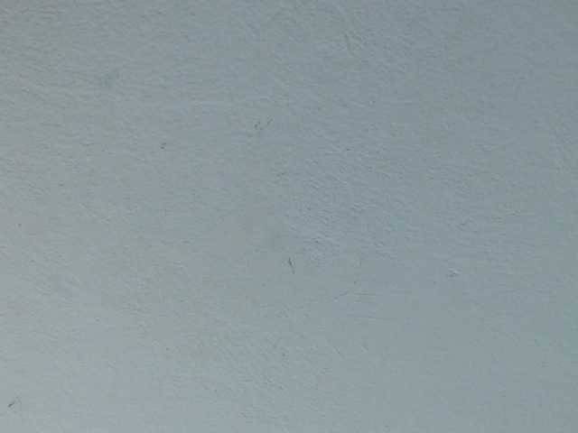 squirtbbw