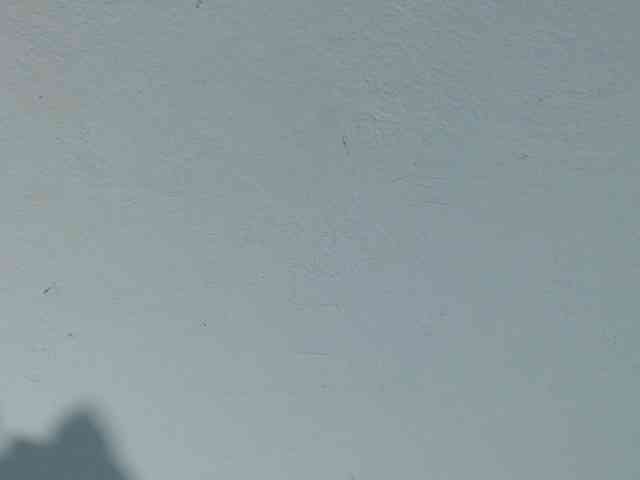 squirtbbw webcam
