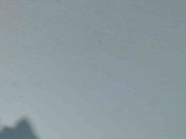 squirtbbw webcam