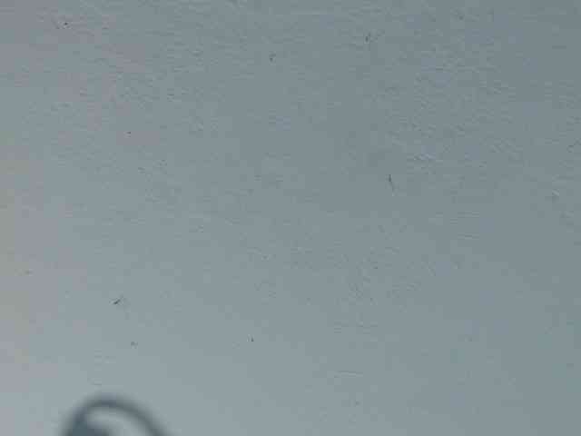 squirtbbw