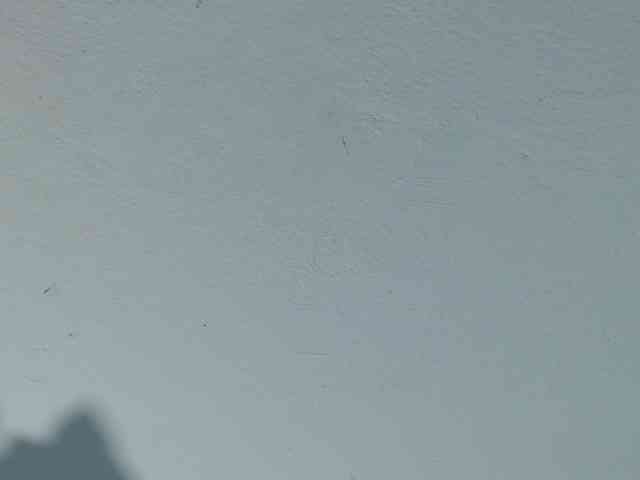 squirtbbw webcam
