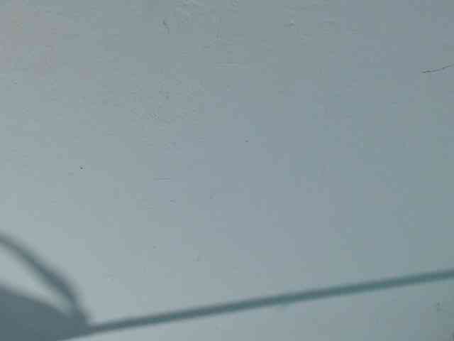 squirtbbw webcam