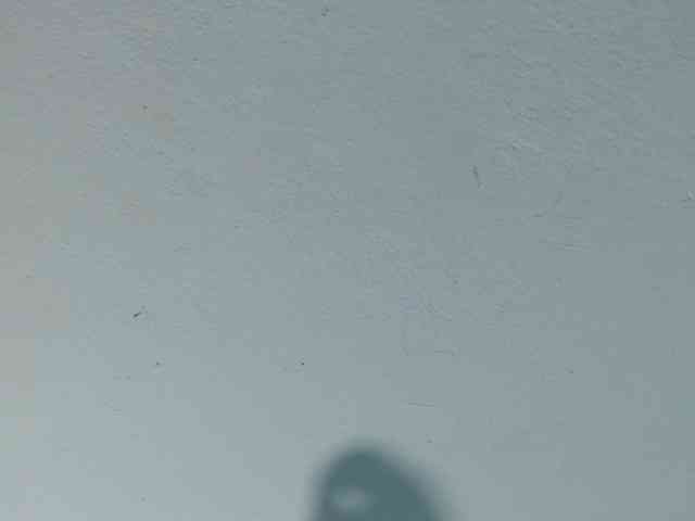 squirtbbw webcam