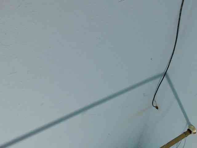 squirtbbw webcam