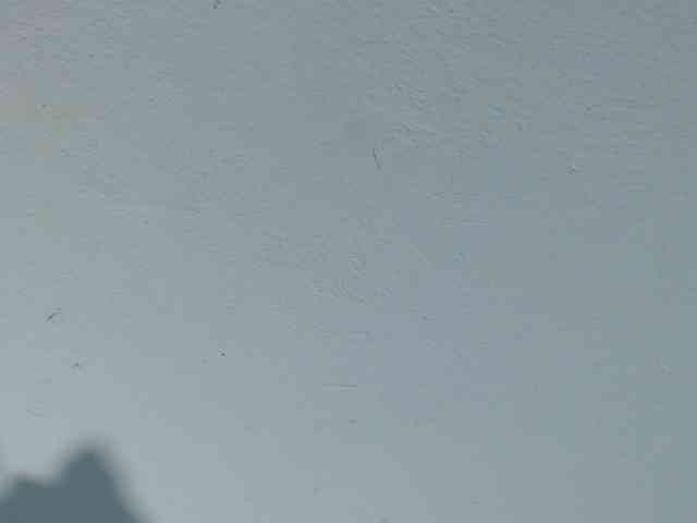 squirtbbw webcam