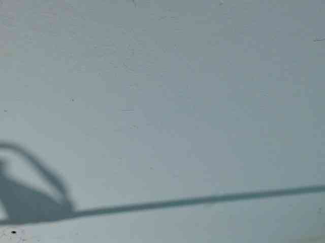 squirtbbw webcam