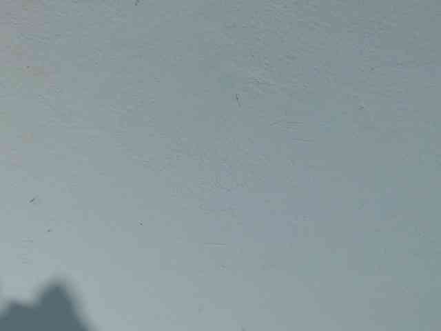 squirtbbw webcam