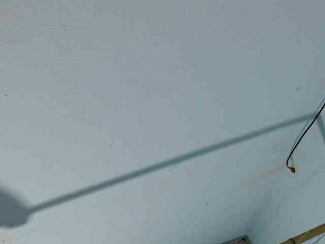 squirtbbw webcam