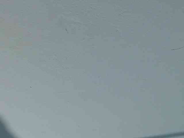 squirtbbw webcam