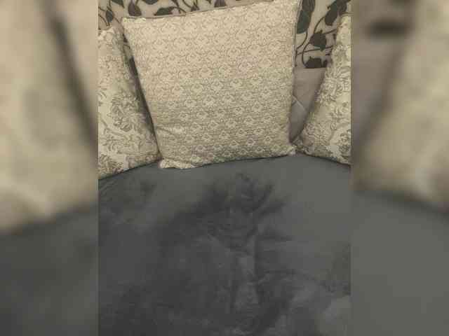 Radda webcam