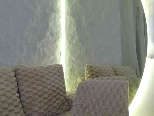 Moniqque webcam