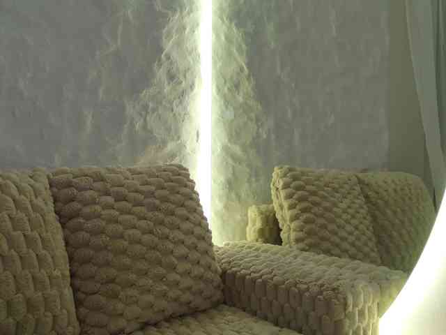 Moniqque webcam