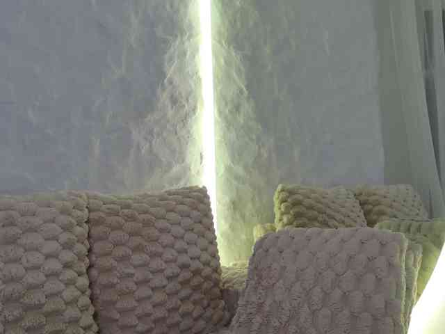 Moniqque webcam