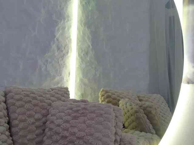 Moniqque webcam