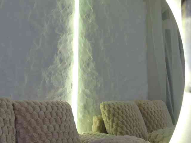 Moniqque webcam