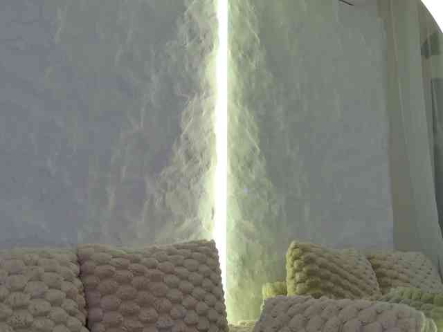 Moniqque webcam