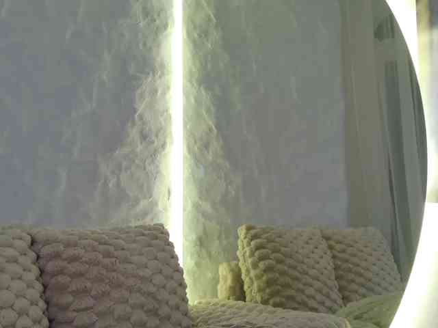 Moniqque webcam