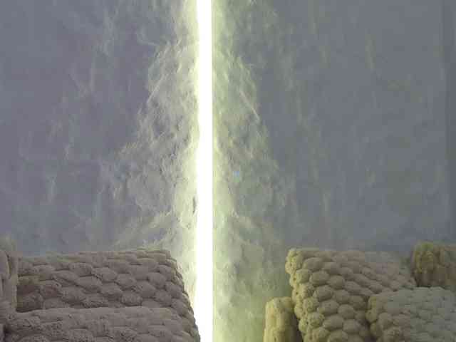 Moniqque webcam