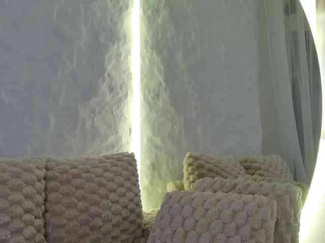 Moniqque webcam