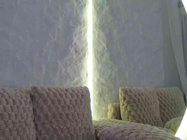 Moniqque webcam