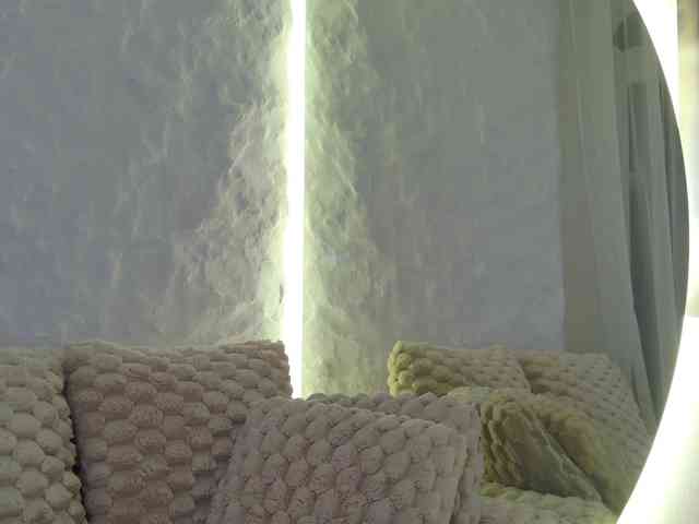 Moniqque webcam