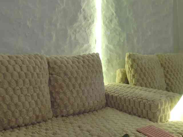 Moniqque webcam