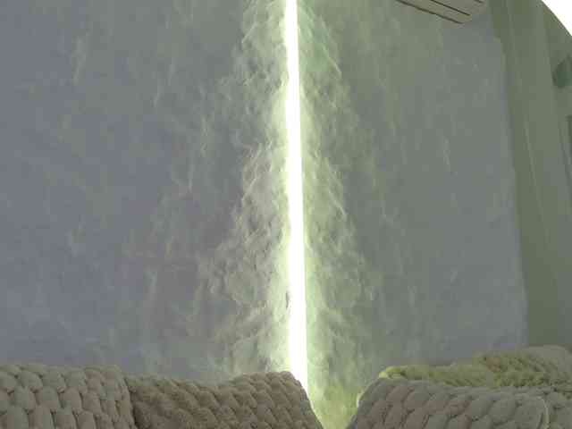 Moniqque webcam