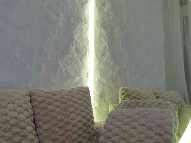 Moniqque webcam