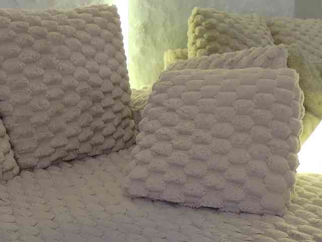 Moniqque webcam