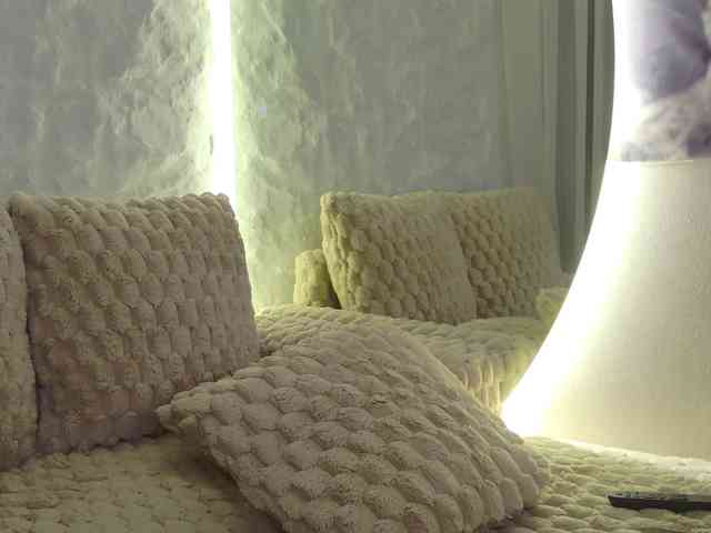 Moniqque webcam