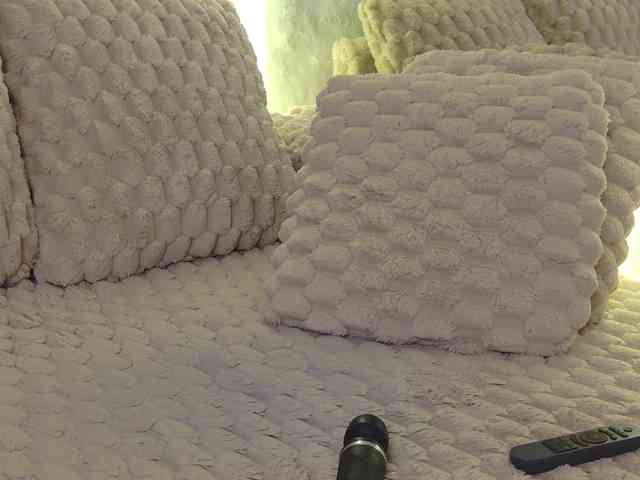 Moniqque webcam