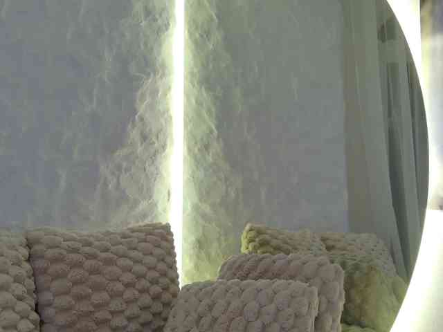 Moniqque webcam