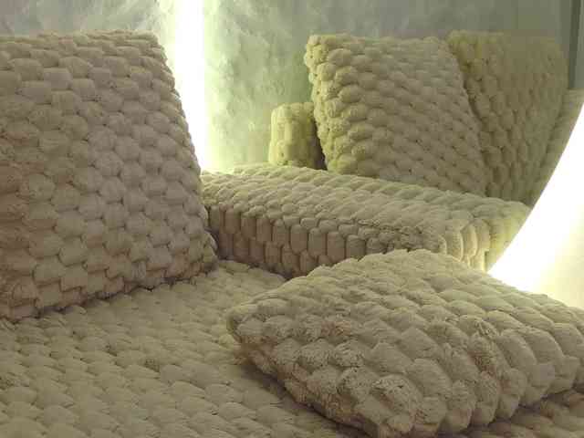 Moniqque webcam